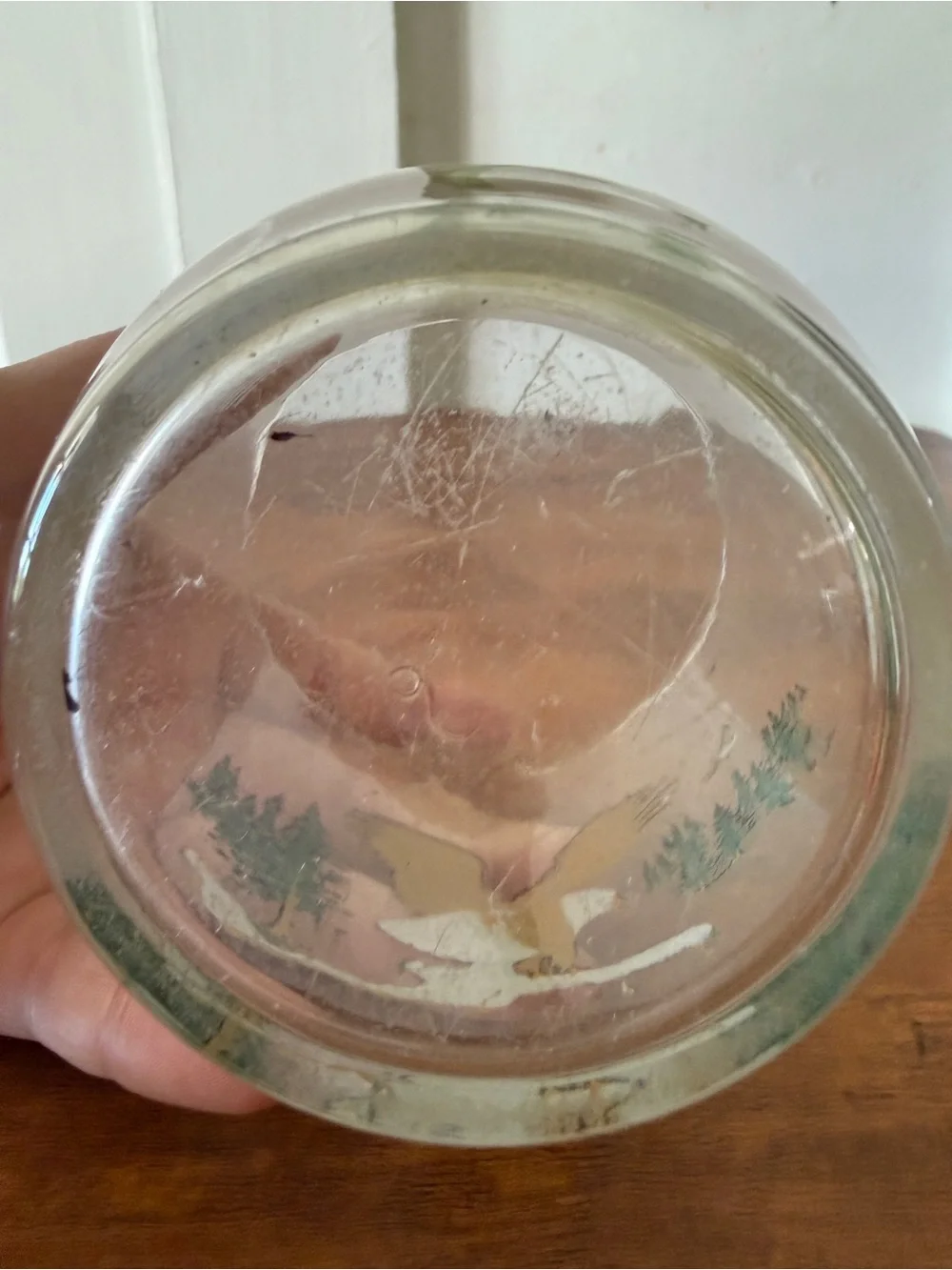 Eagle Glass Tumbler with Forest Scene